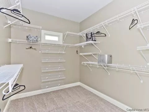 1817 Forest Gln, Chatham, IL 62629 photo 22
