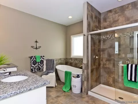 1817 Forest Gln, Chatham, IL 62629 photo 20