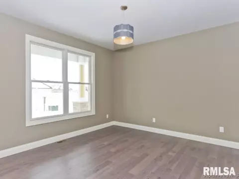1817 Forest Gln, Chatham, IL 62629 photo 10