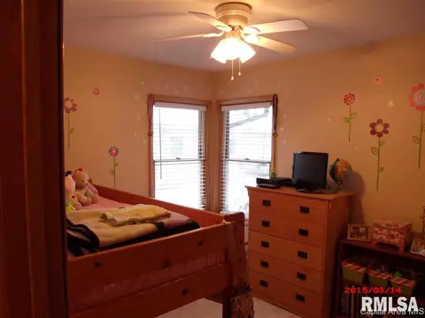 603 E Mulberry, Chatham, IL 62629 photo 8