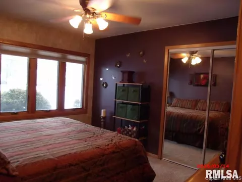 603 E Mulberry, Chatham, IL 62629 photo 7