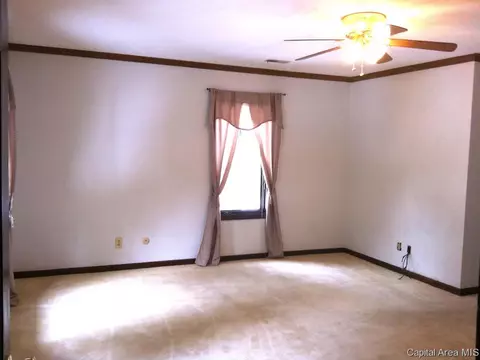 1115 Memory Ln, Springfield, IL 62707 photo 20