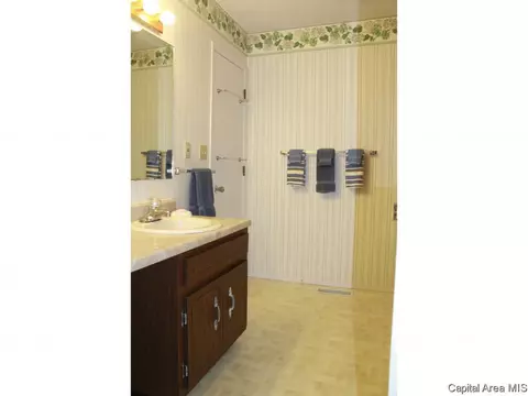 121 Astoria Rd, Springfield, IL 62704 photo 20