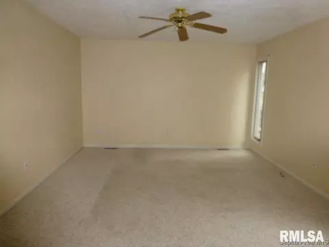 610 W Hay Street St, Springfield, IL 62702 photo 3