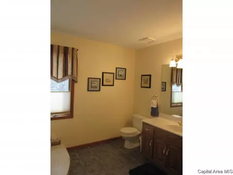 3958 Springer Ln, Springfield, IL 62711 photo 14