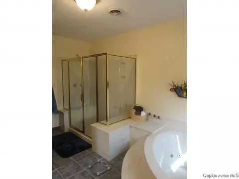 3958 Springer Ln, Springfield, IL 62711 photo 16