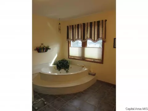 3958 Springer Ln, Springfield, IL 62711 photo 17