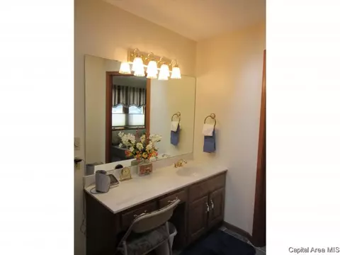 3958 Springer Ln, Springfield, IL 62711 photo 13