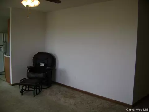 2437 Basil Dr, Springfield, IL 62707 photo 29
