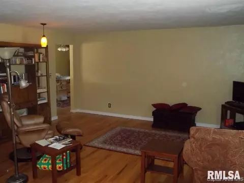 39 Devine, Riverton, IL 62561 photo 3