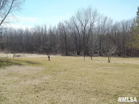 39 Devine, Riverton, IL 62561 photo 20