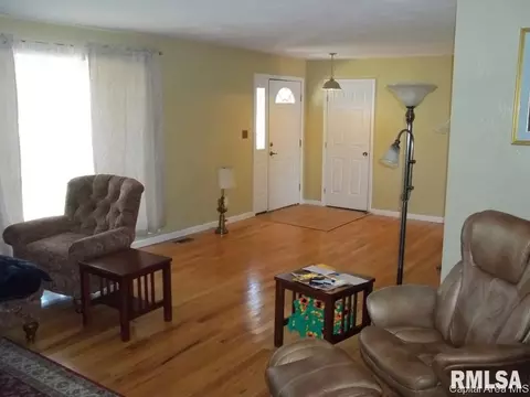 39 Devine, Riverton, IL 62561 photo 2