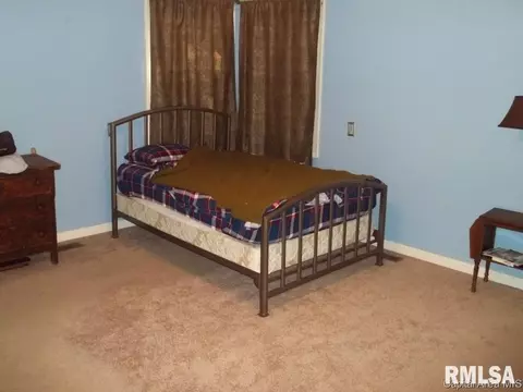39 Devine, Riverton, IL 62561 photo 6