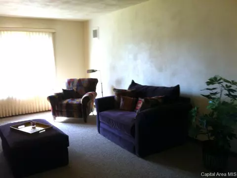 2201 W Road Dr, Springfield, IL 62711 photo 20