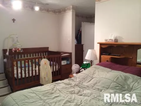 606 E Spaulding St, Riverton, IL 62561 photo 9