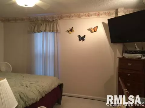 606 E Spaulding St, Riverton, IL 62561 photo 7