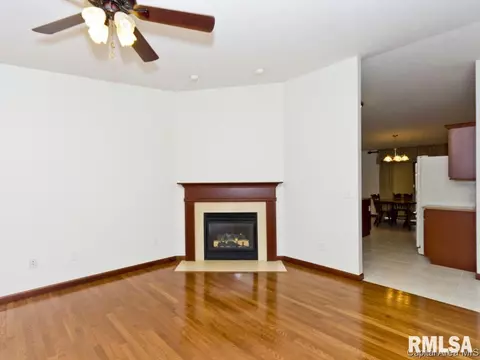 1709 Tern Pl, Springfield, IL 62711 photo 8