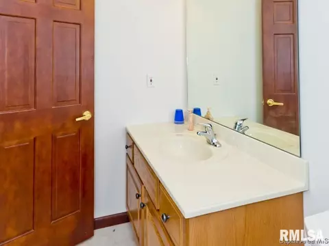 1709 Tern Pl, Springfield, IL 62711 photo 23