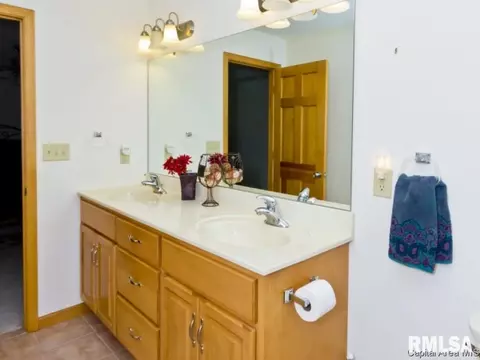 6109 Spindell, Springfield, IL 62711 photo 19