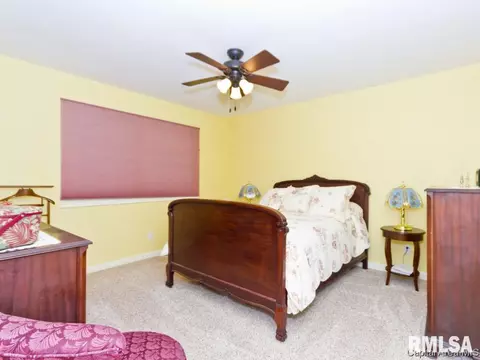 61 Pine Cv, Springfield, IL 62712 photo 20