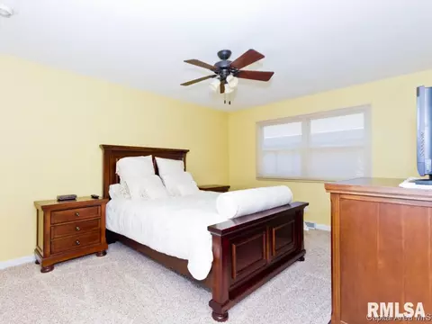 61 Pine Cv, Springfield, IL 62712 photo 19