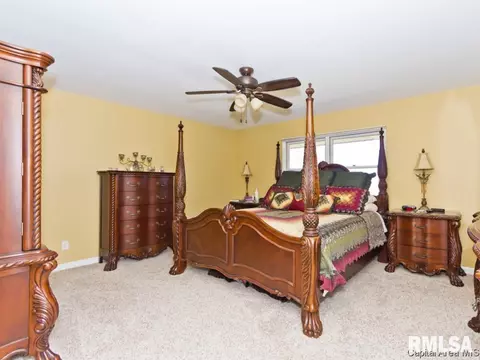 61 Pine Cv, Springfield, IL 62712 photo 17