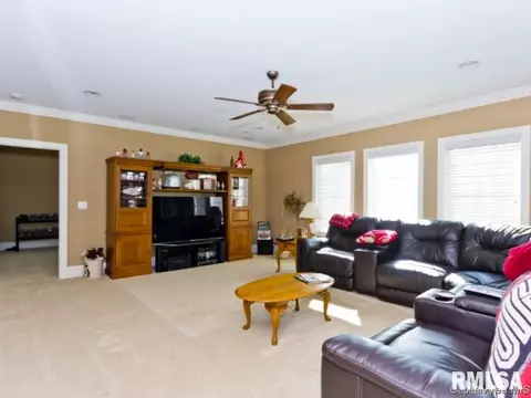 5305 White Marsh Ct, Springfield, IL 62711 photo 23