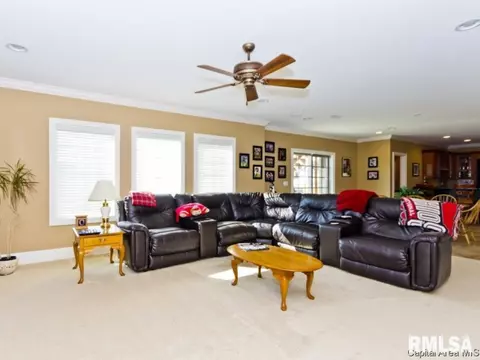 5305 White Marsh Ct, Springfield, IL 62711 photo 24
