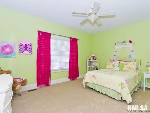 5305 White Marsh Ct, Springfield, IL 62711 photo 20