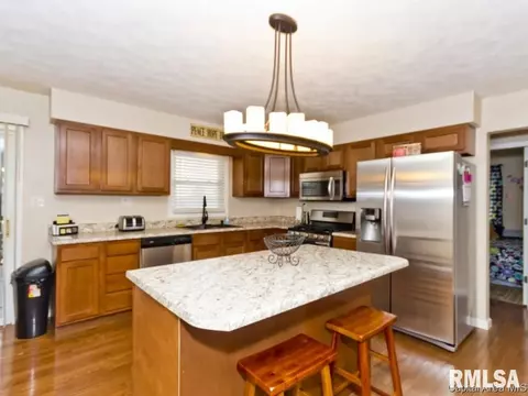 4442 S 3rd, Springfield, IL 62703 photo 8