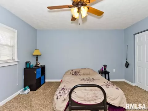 4442 S 3rd, Springfield, IL 62703 photo 26