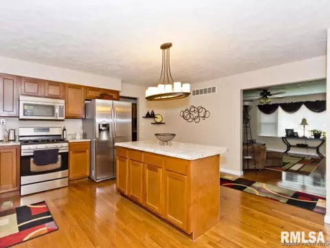 4442 S 3rd, Springfield, IL 62703 photo 11