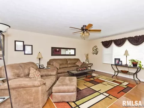 4442 S 3rd, Springfield, IL 62703 photo 13