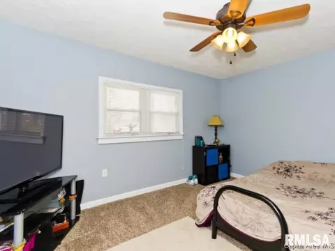 4442 S 3rd, Springfield, IL 62703 photo 27