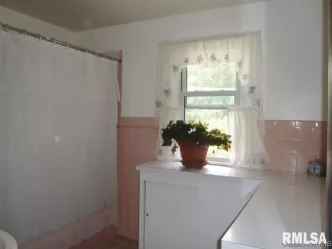 1924 S Lowell, Springfield, IL 62704 photo 28