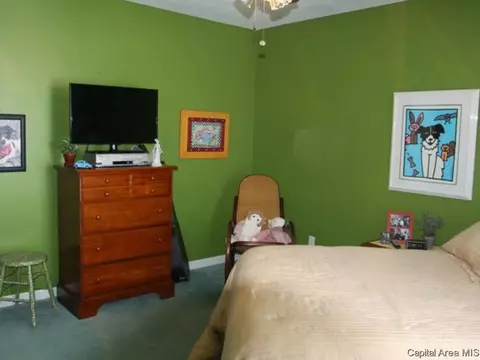 3 Sebring Rd, Springfield, IL 62707 photo 21