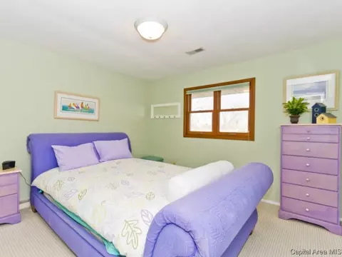 3 Linden Ln, Springfield, IL 62712 photo 21