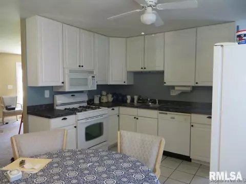 1341 N Rutledge, Springfield, IL 62702 photo 5
