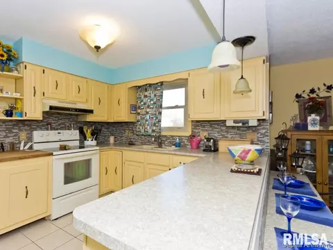109 White Pine Dr, Springfield, IL 62712 photo 14