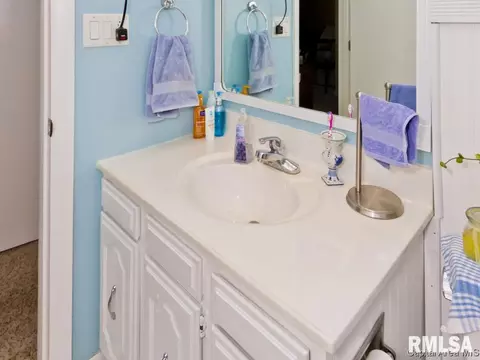 109 White Pine Dr, Springfield, IL 62712 photo 27