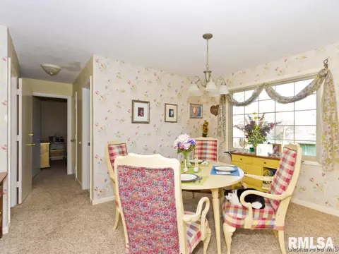 109 White Pine Dr, Springfield, IL 62712 photo 12