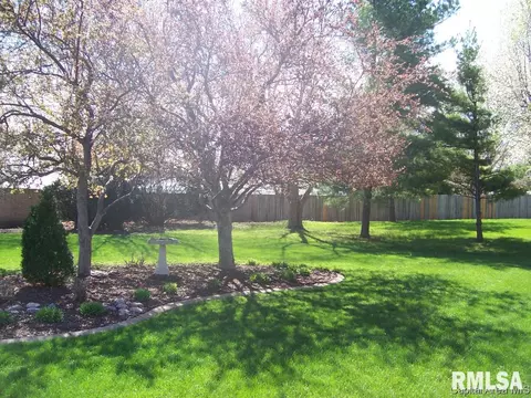 2004 Attenborough Ct, Springfield, IL 62704 photo 33
