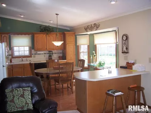 2004 Attenborough Ct, Springfield, IL 62704 photo 13