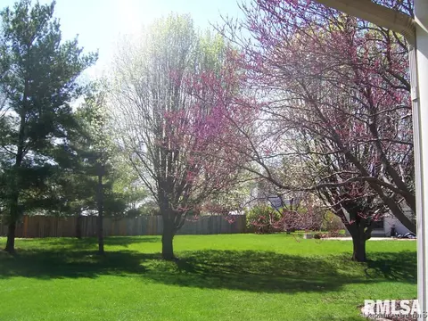 2004 Attenborough Ct, Springfield, IL 62704 photo 31