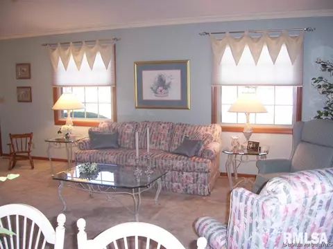 2004 Attenborough Ct, Springfield, IL 62704 photo 6