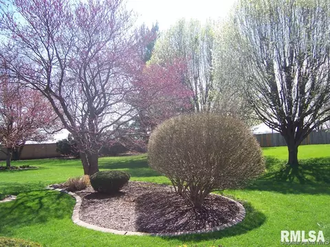 2004 Attenborough Ct, Springfield, IL 62704 photo 30
