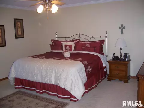 2004 Attenborough Ct, Springfield, IL 62704 photo 14