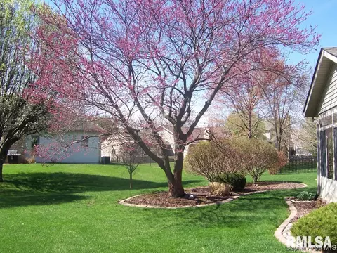 2004 Attenborough Ct, Springfield, IL 62704 photo 29
