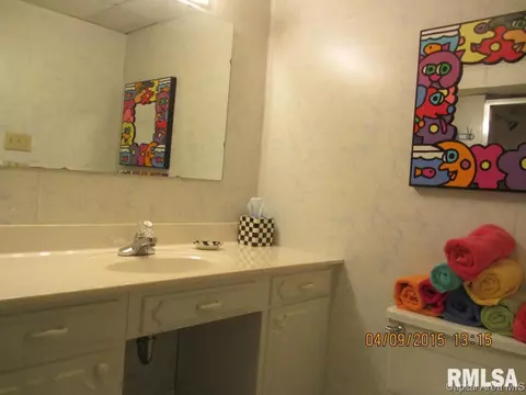 2317 S Bates Ave, Springfield, IL 62704 photo 22