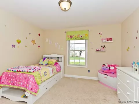 7209 Wentworth, Springfield, IL 62711 photo 16